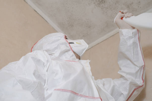 Norwood Young America, MN Mold Remediation Company