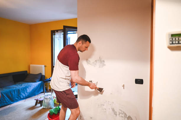 Best Bathroom Mold Remediation in Norwood Young America, MN
